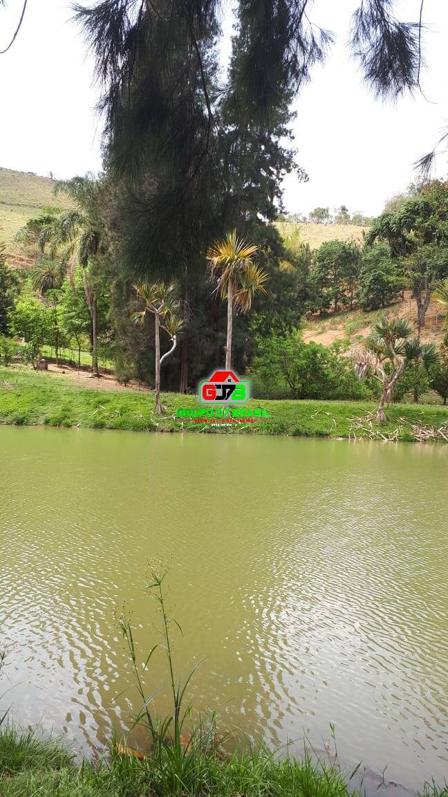 Fazenda à venda com 4 quartos, 300m² - Foto 4