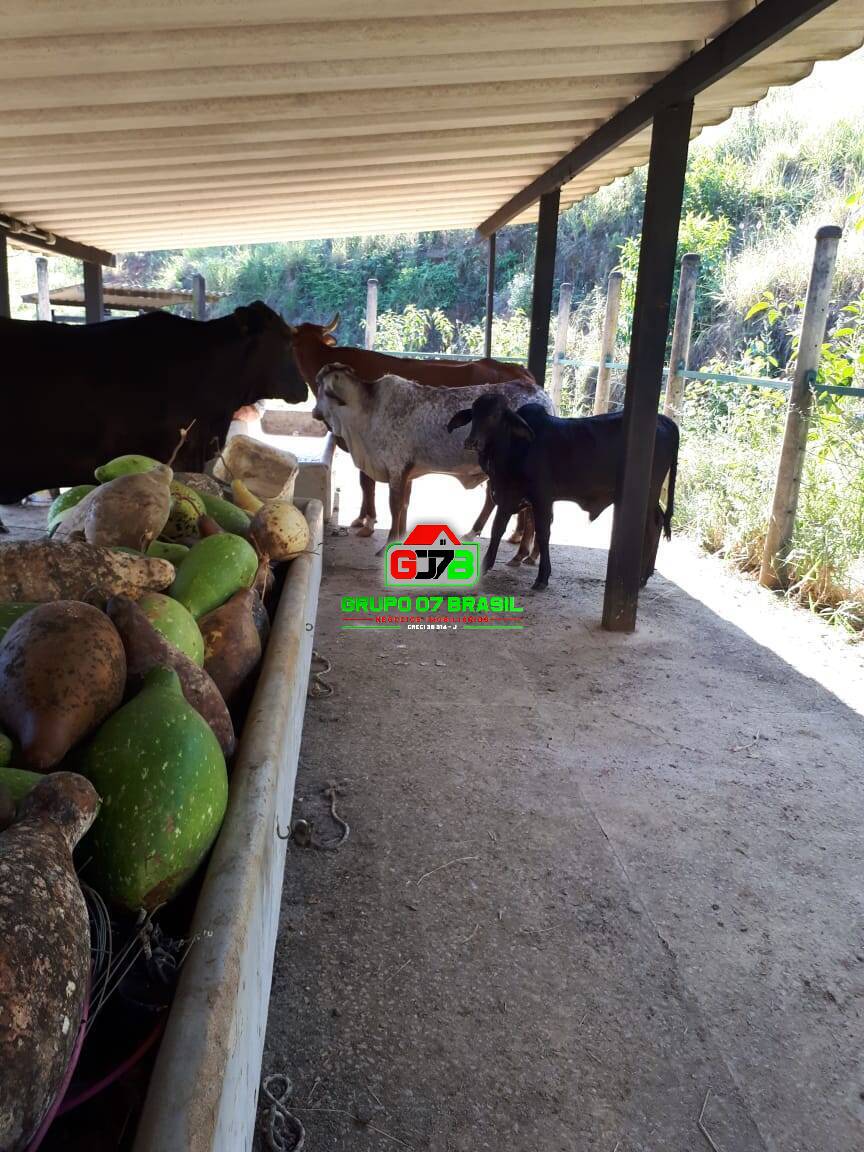 Fazenda à venda com 4 quartos, 300m² - Foto 31