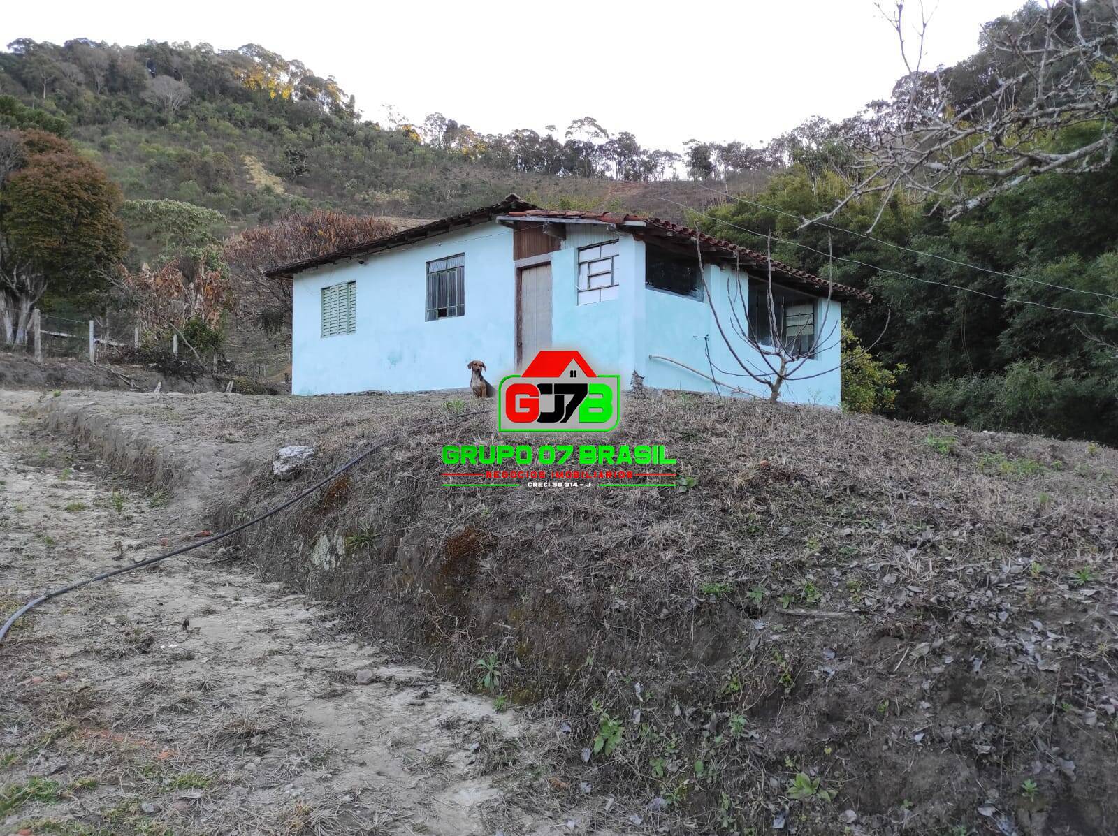 Fazenda à venda com 2 quartos, 1000m² - Foto 1