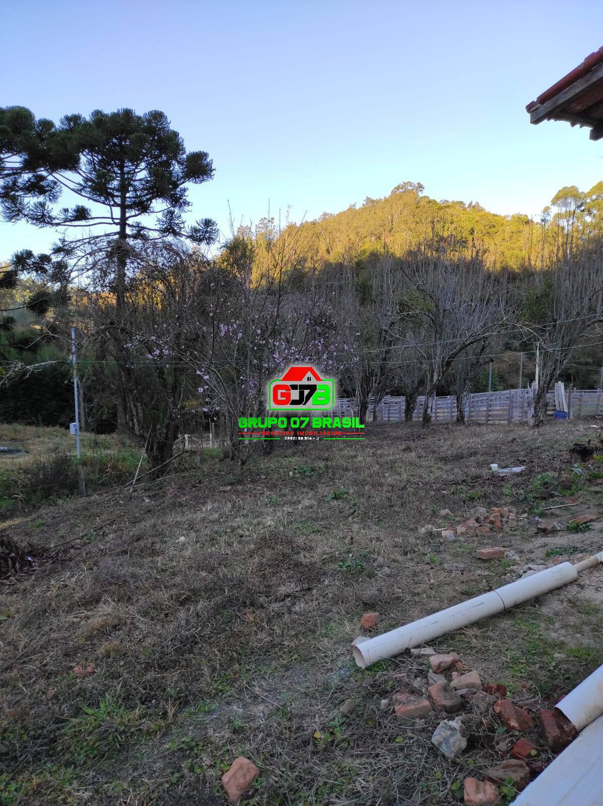 Fazenda à venda com 2 quartos, 1000m² - Foto 3