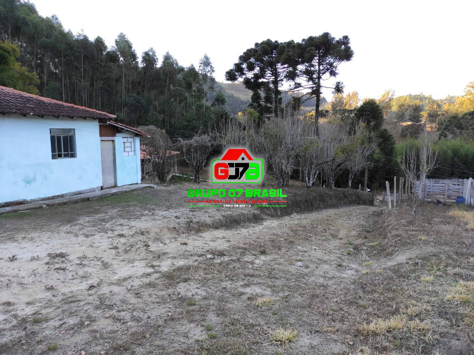 Fazenda à venda com 2 quartos, 1000m² - Foto 7