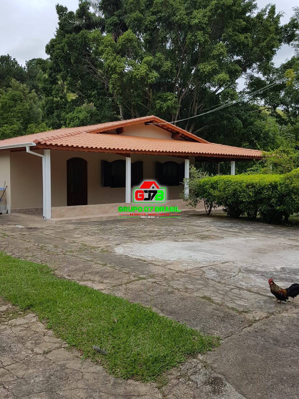 Fazenda à venda com 3 quartos, 17000m² - Foto 1