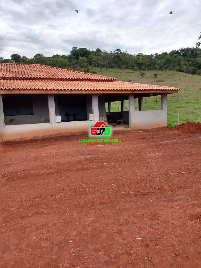 Fazenda à venda com 4 quartos, 17000m² - Foto 5