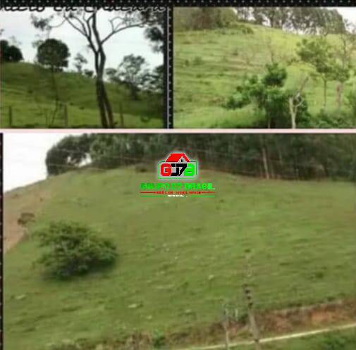 Fazenda-Sítio-Chácara, 3 hectares - Foto 4