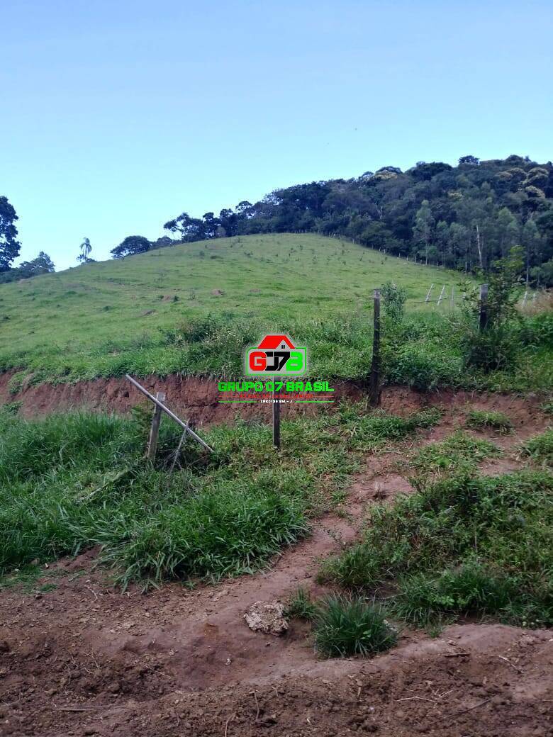 Fazenda à venda com 4 quartos, 3m² - Foto 14