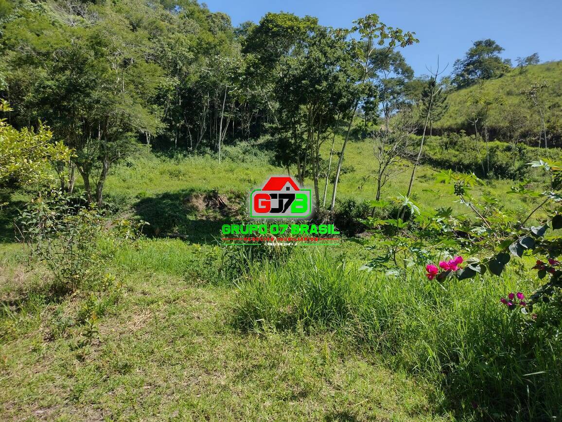 Fazenda à venda com 3 quartos, 3m² - Foto 2