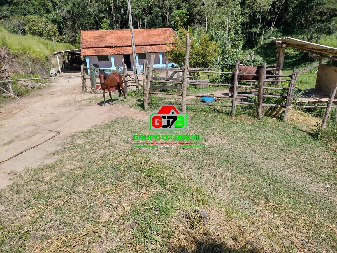 Fazenda à venda com 3 quartos, 3m² - Foto 6