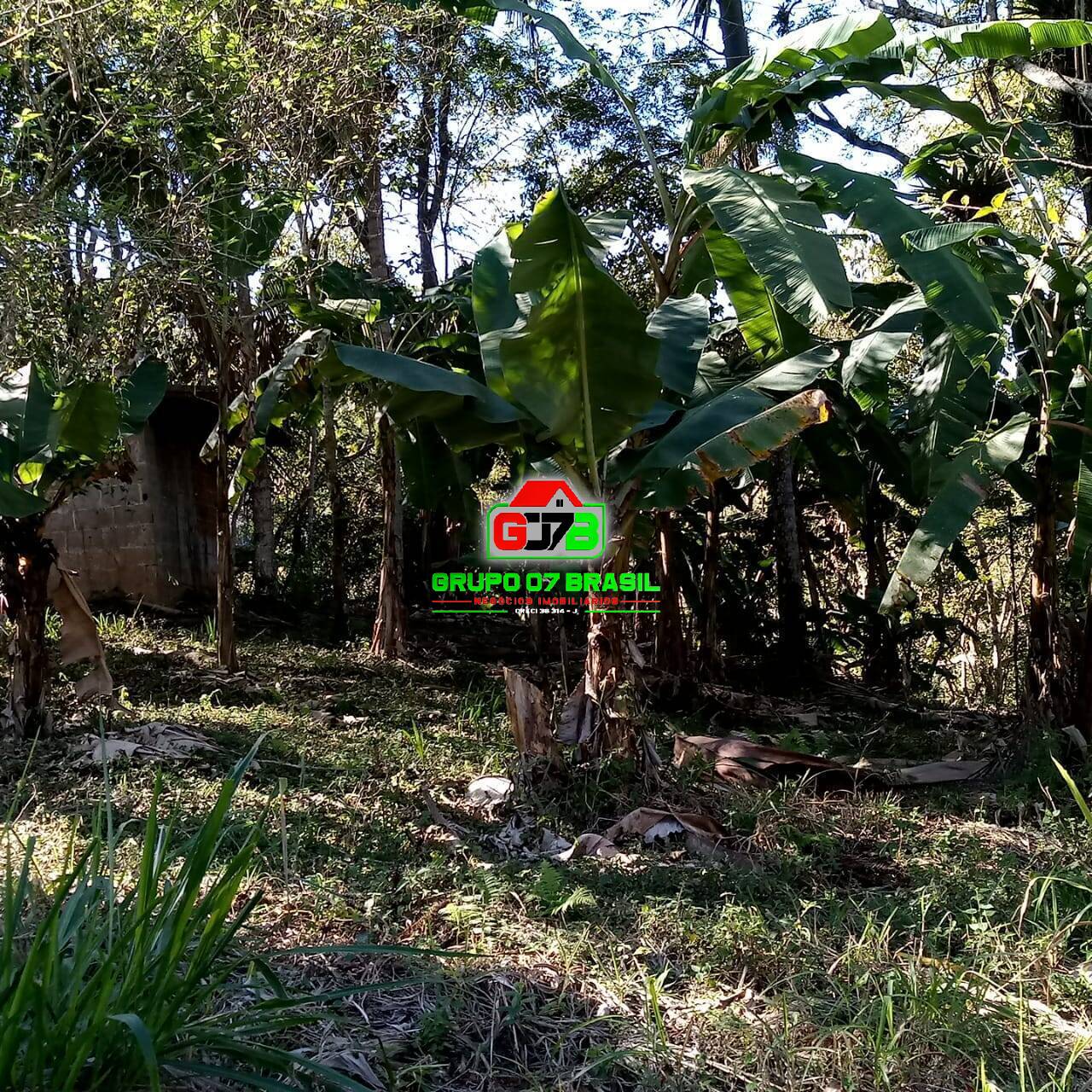 Fazenda à venda, 164560m² - Foto 20