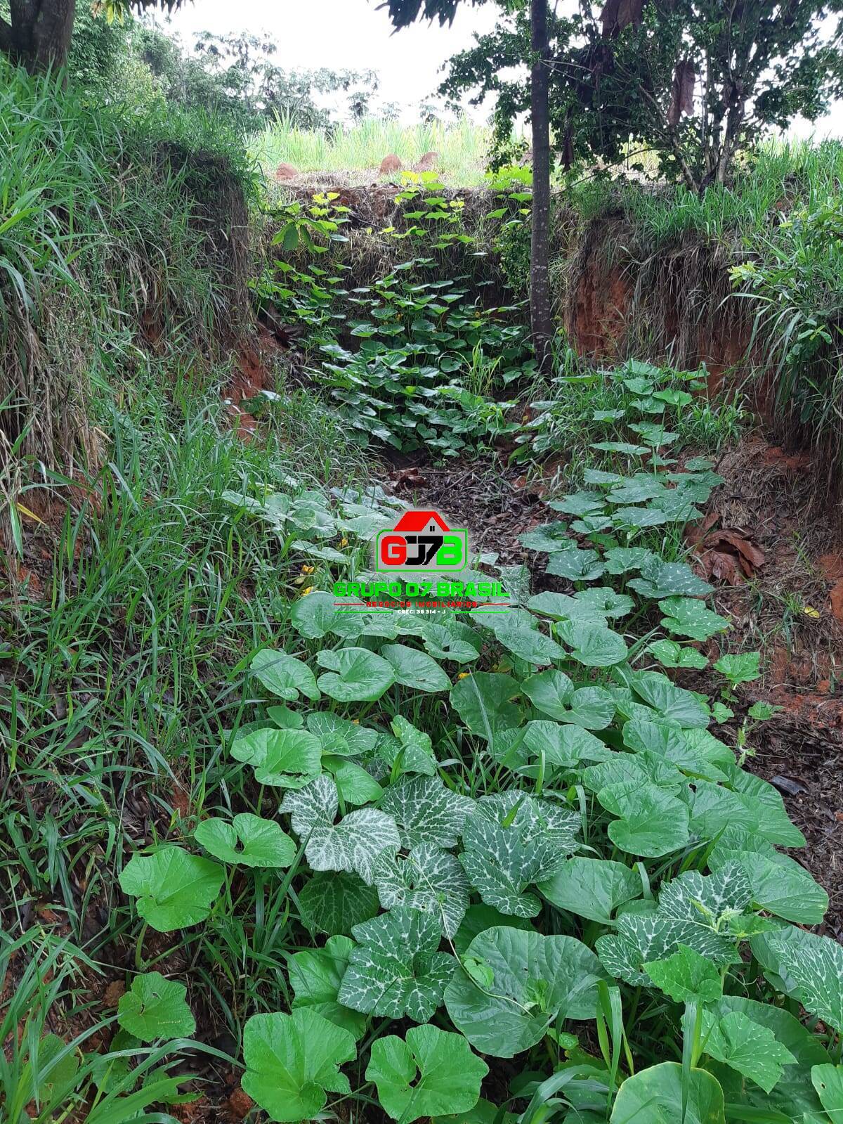 Fazenda à venda, 24m² - Foto 35