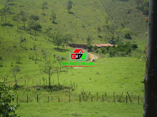 Fazenda à venda, 30000m² - Foto 7