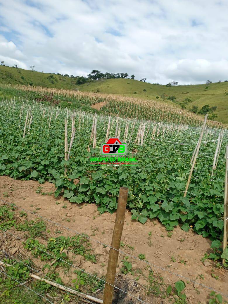 Fazenda à venda com 4 quartos, 180m² - Foto 49