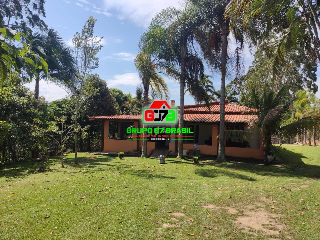 Fazenda à venda com 2 quartos, 8000m² - Foto 4