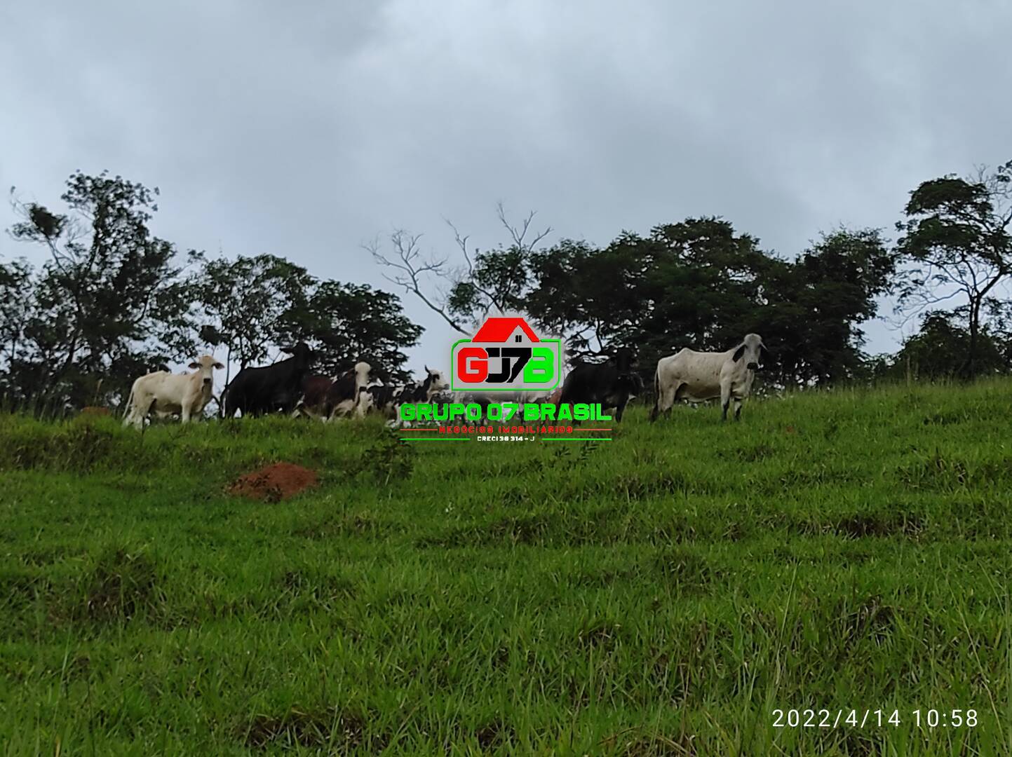 Fazenda à venda com 2 quartos, 70m² - Foto 25