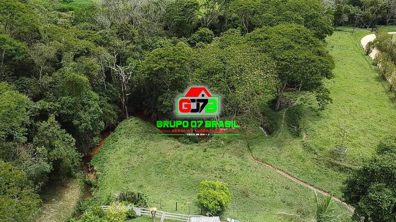 Fazenda à venda com 3 quartos, 36000m² - Foto 4