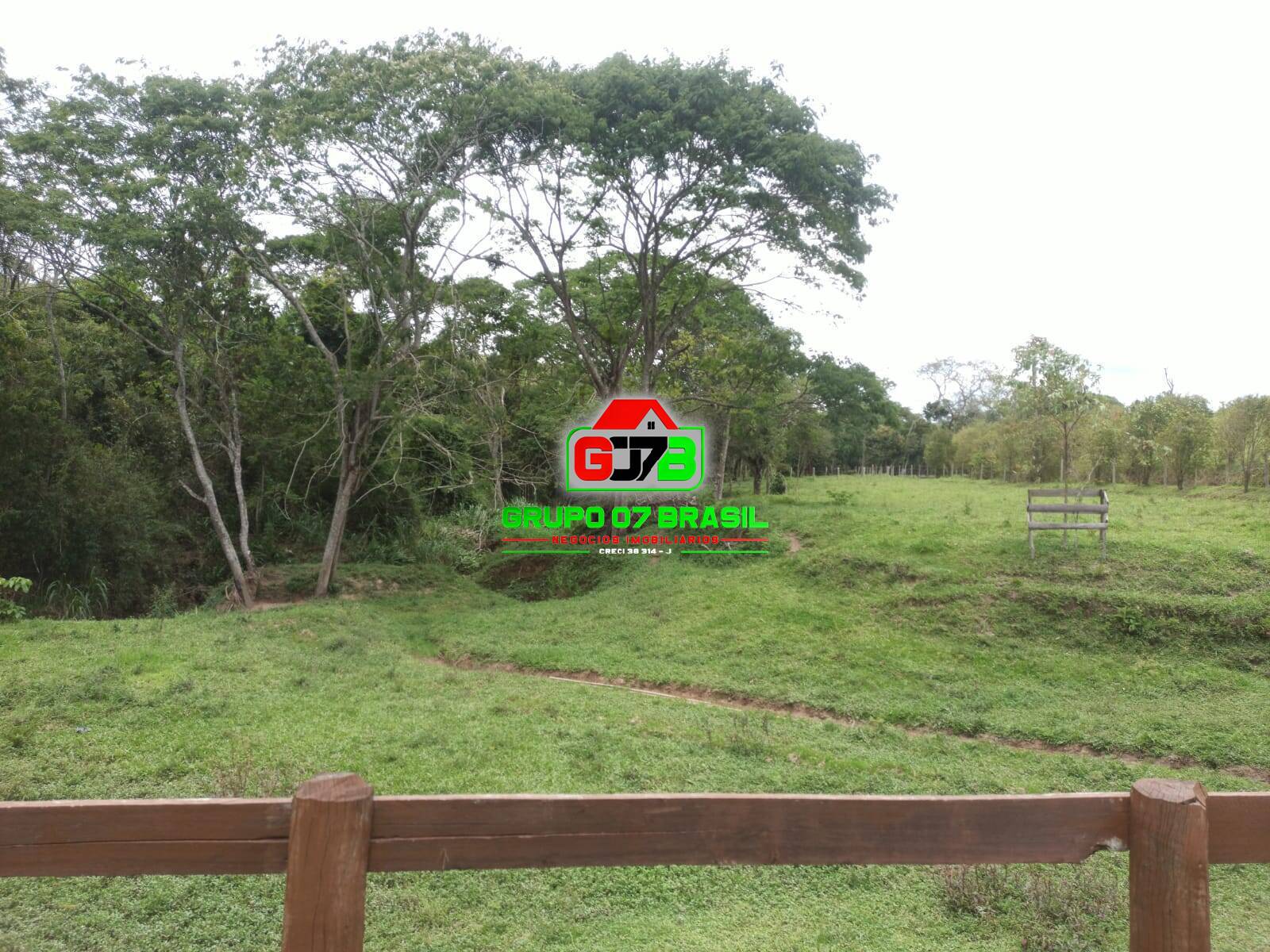 Fazenda à venda com 3 quartos, 36000m² - Foto 7