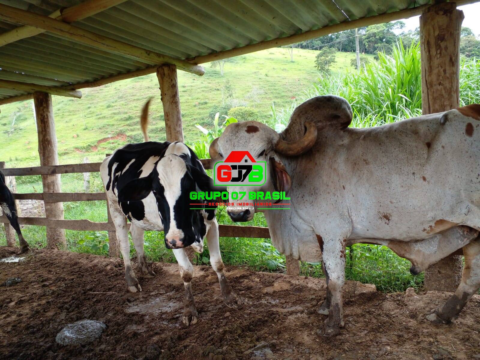 Fazenda à venda, 14m² - Foto 1