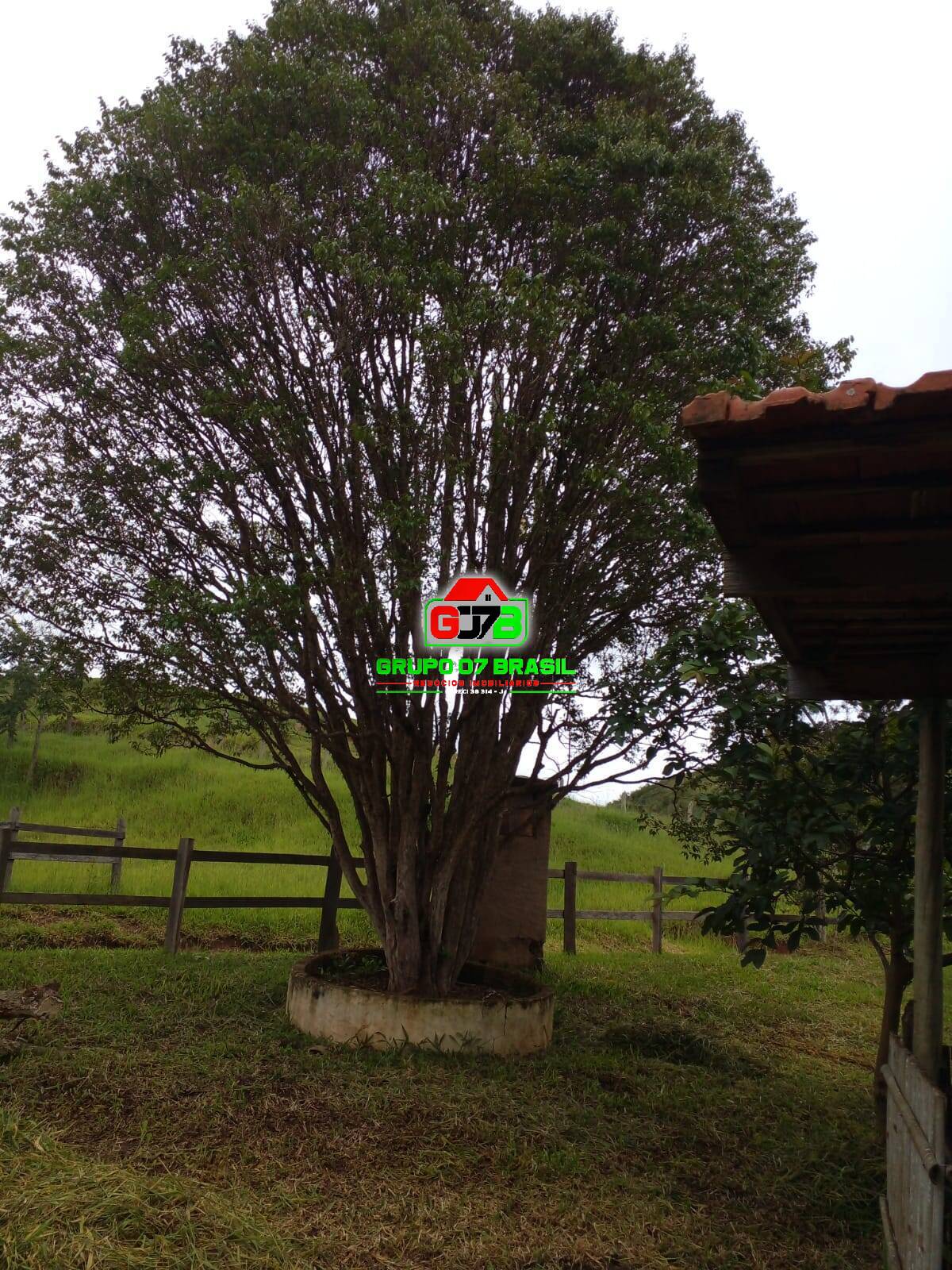 Fazenda à venda, 14m² - Foto 22