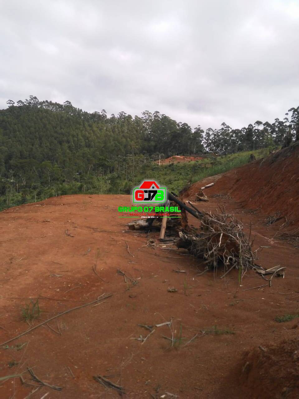 Fazenda à venda com 1 quarto, 20000m² - Foto 6