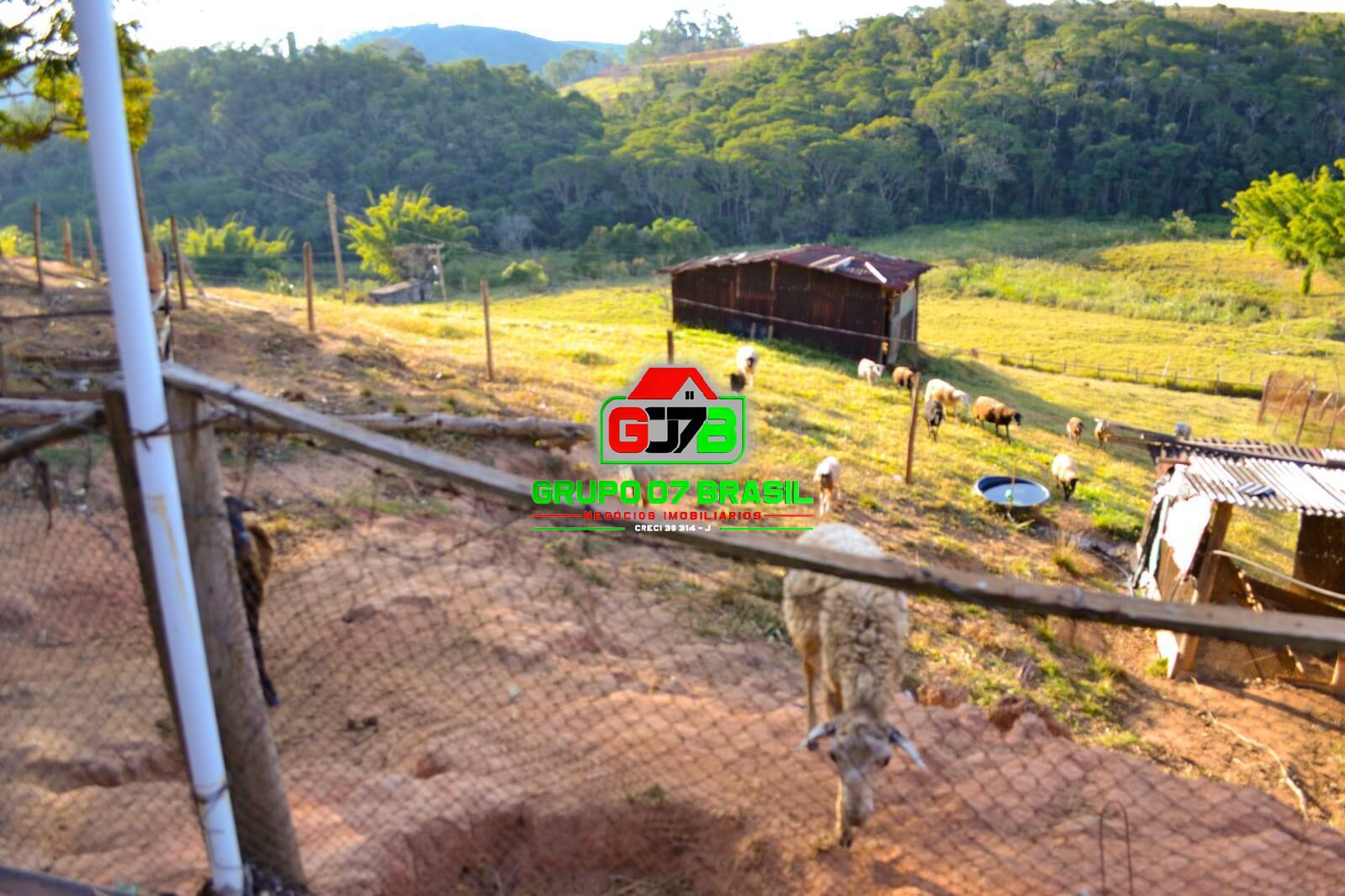 Fazenda à venda, 8m² - Foto 19