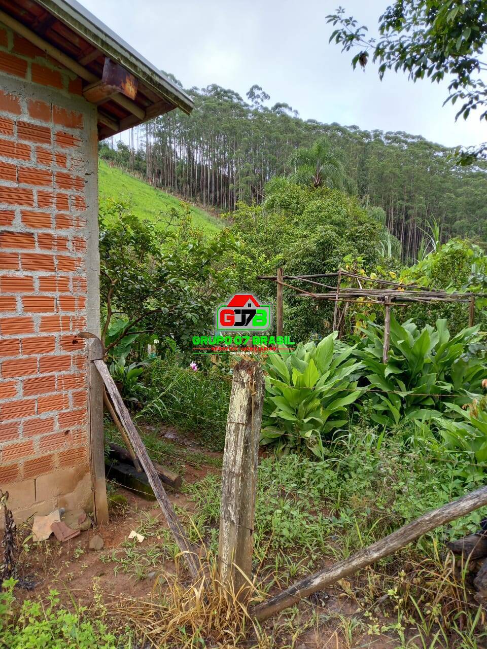 Fazenda à venda, 7000m² - Foto 8