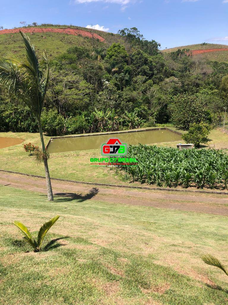 Fazenda à venda com 5 quartos, 20000m² - Foto 8