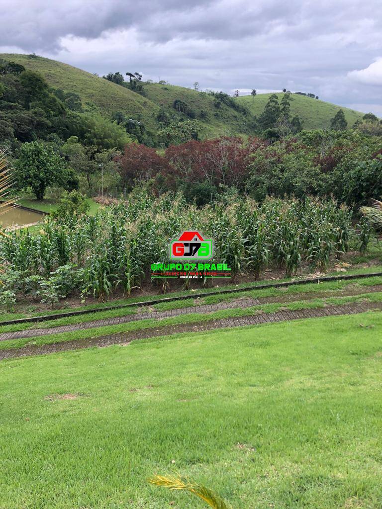 Fazenda à venda com 5 quartos, 20000m² - Foto 23