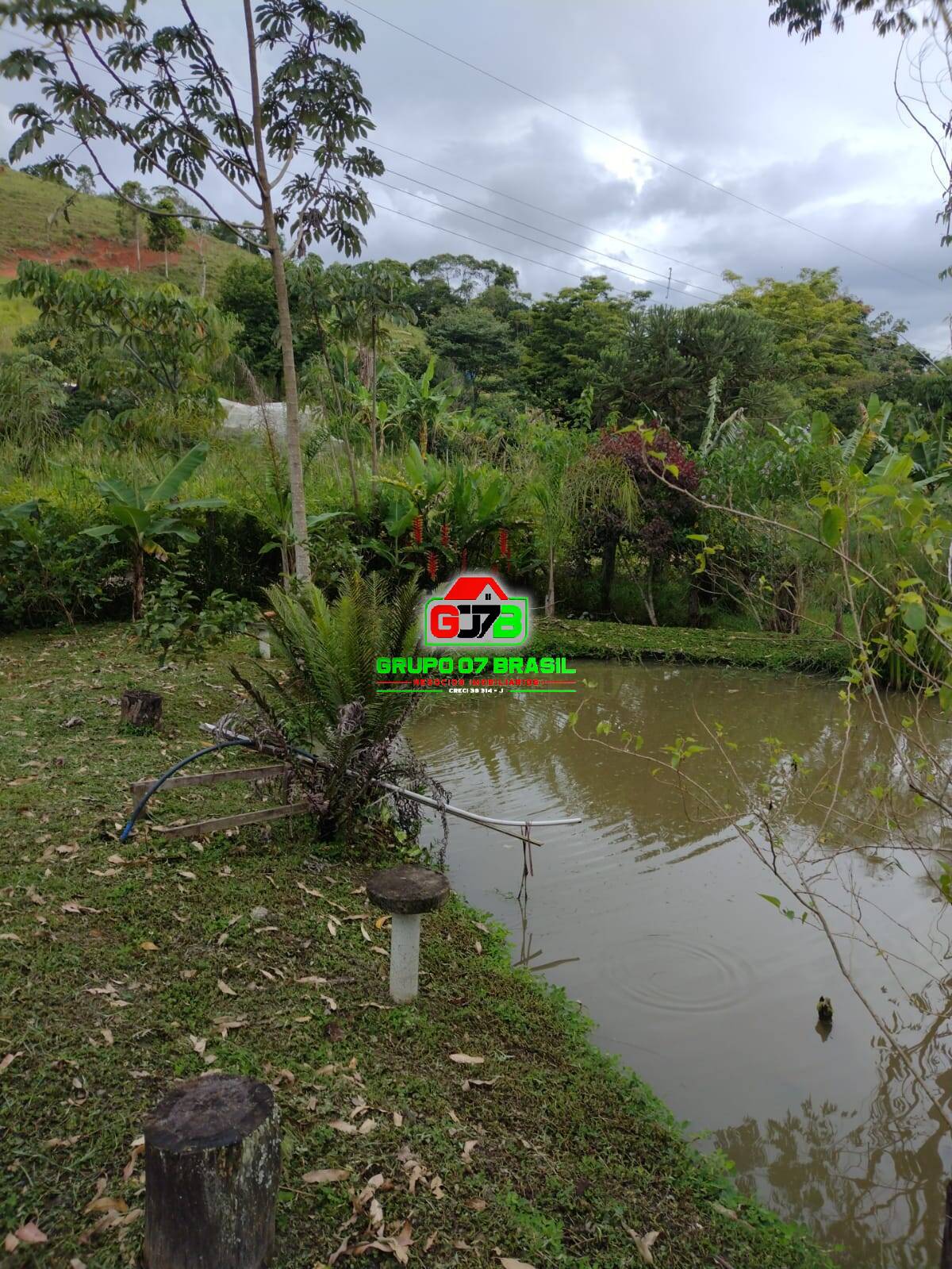 Fazenda à venda, 4600m² - Foto 6