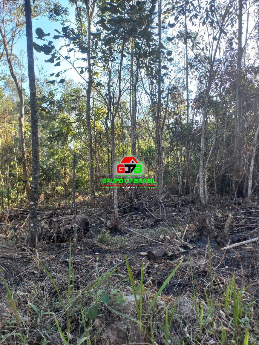 Fazenda à venda, 20000m² - Foto 7