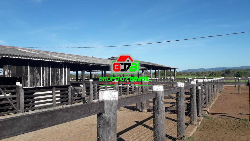 Fazenda à venda, 1200m² - Foto 14