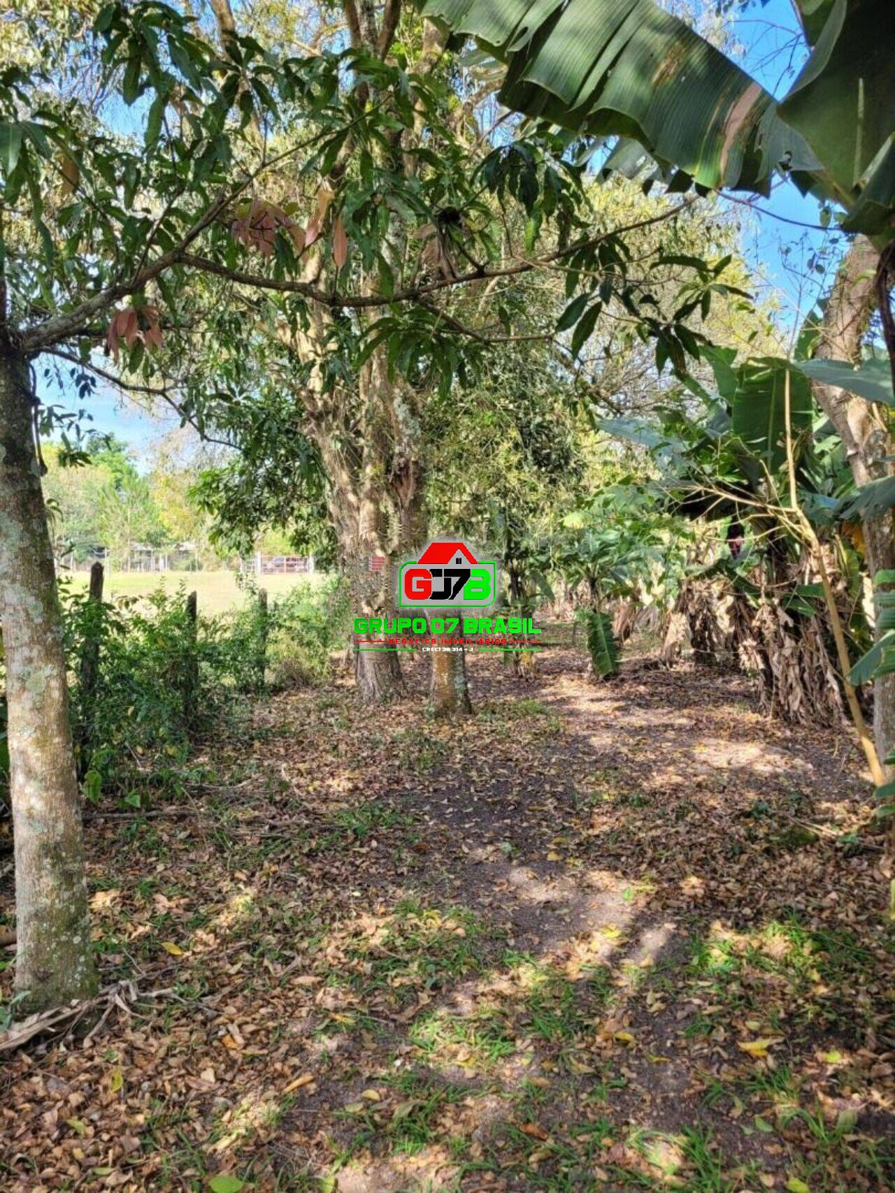 Fazenda à venda com 3 quartos, 30000m² - Foto 11