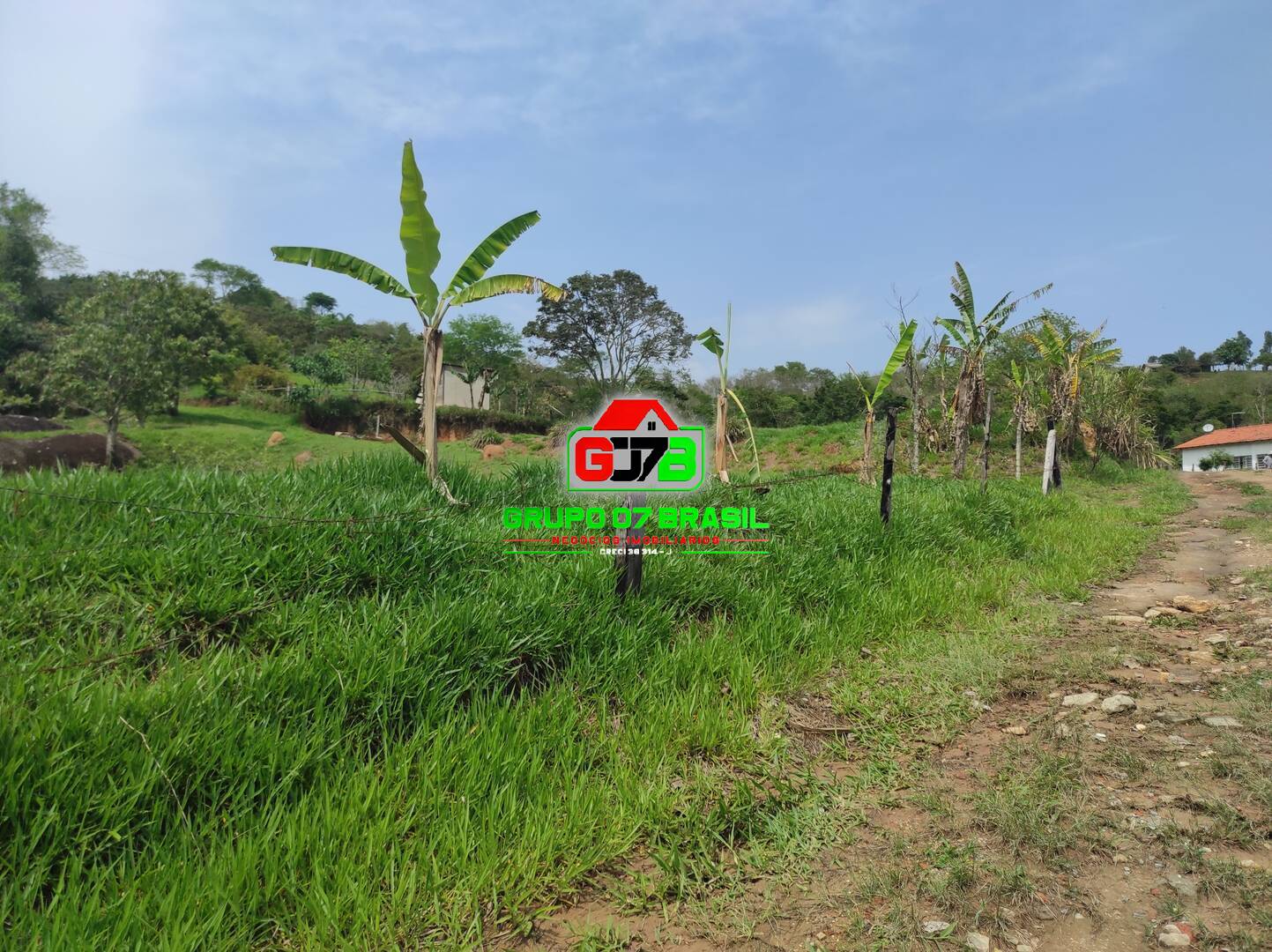 Terreno à venda, 20000m² - Foto 4