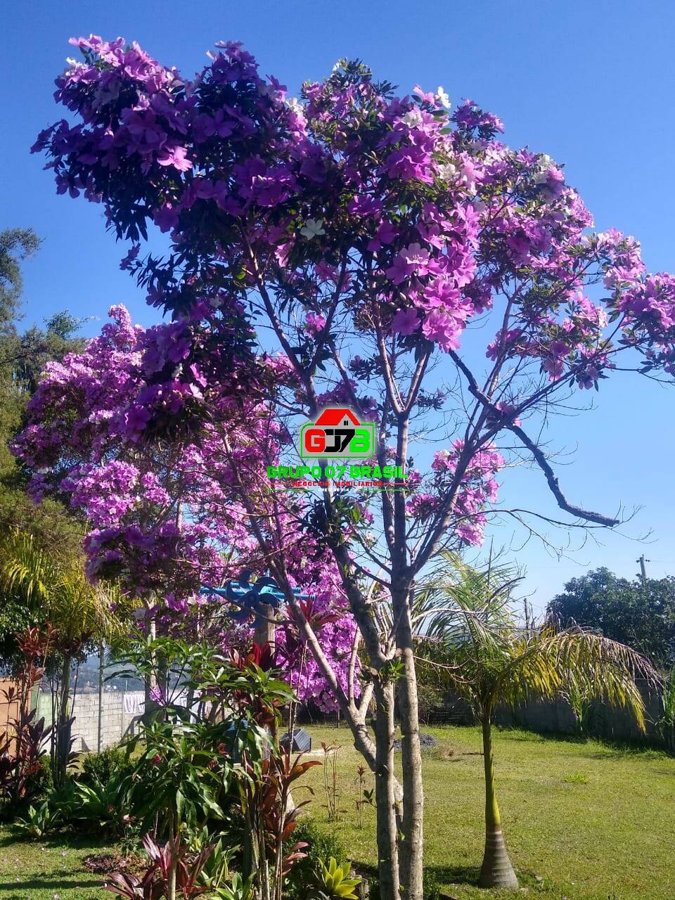 Fazenda à venda, 2000m² - Foto 35