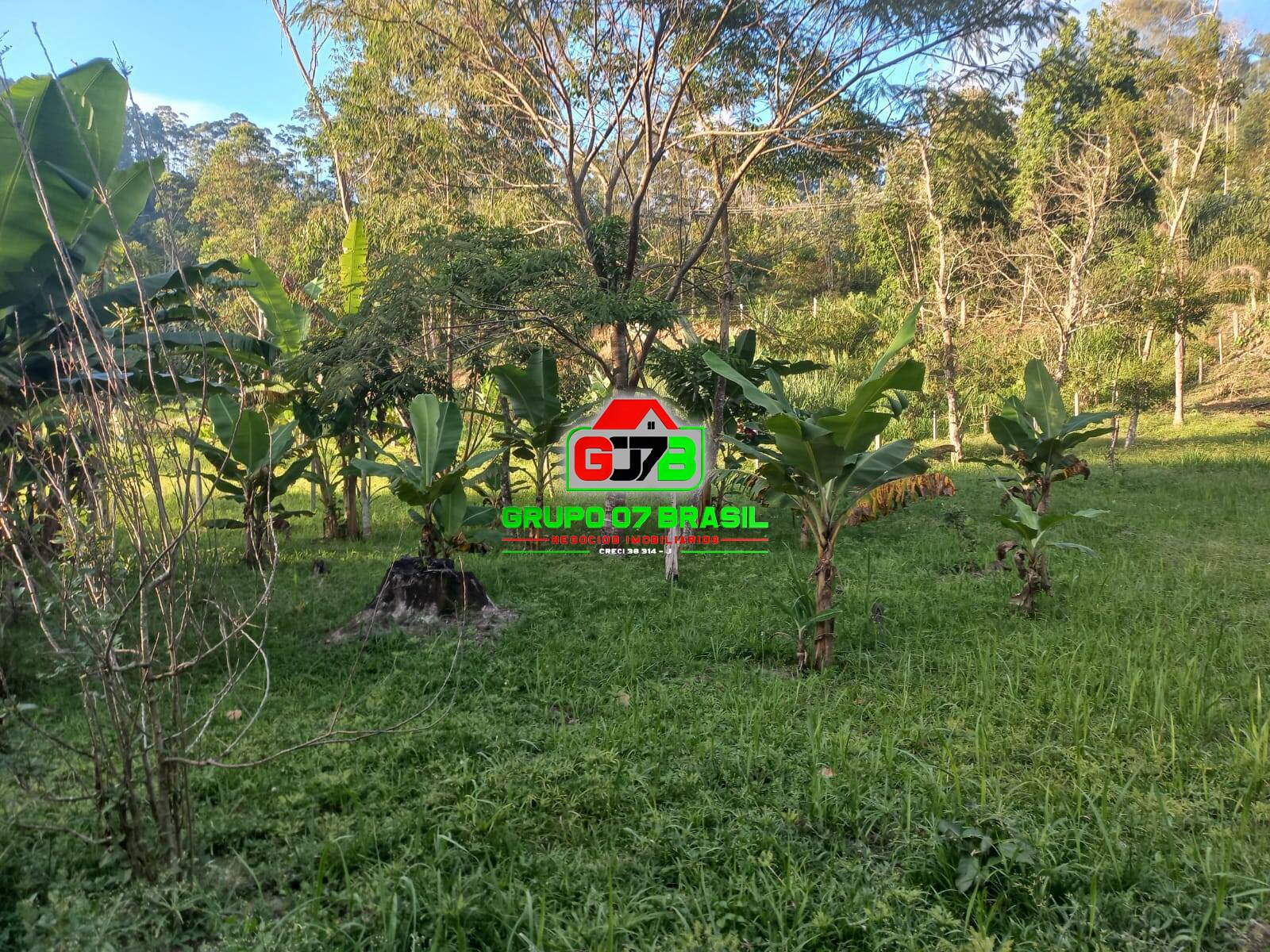 Fazenda à venda com 2 quartos, 20m² - Foto 39