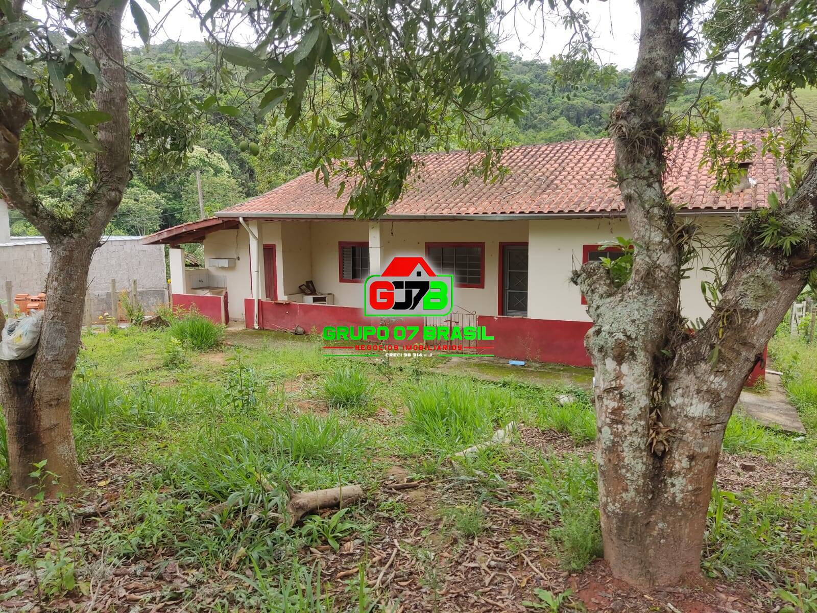 Fazenda à venda com 4 quartos, 2000m² - Foto 6