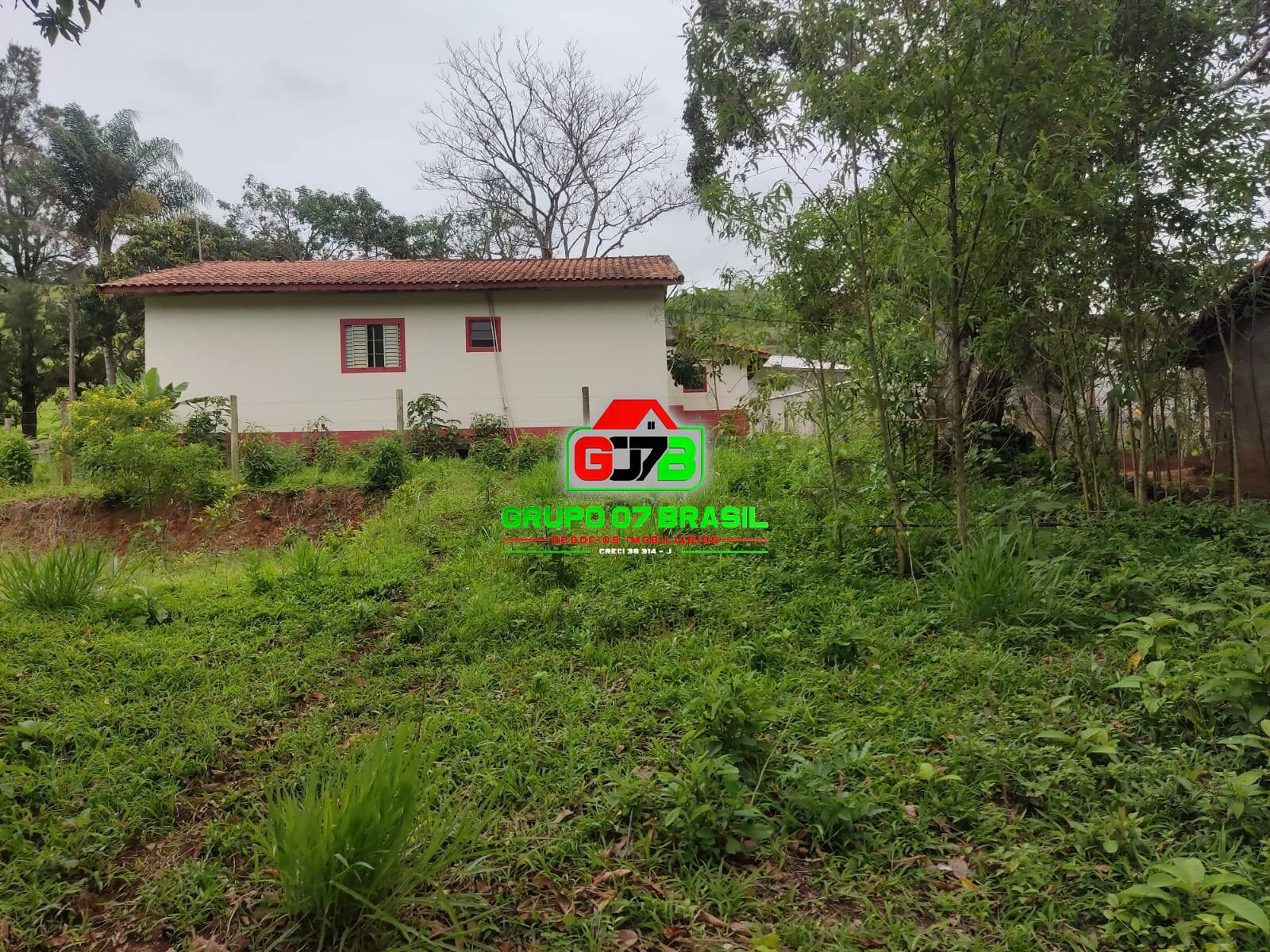 Fazenda à venda com 4 quartos, 2000m² - Foto 16