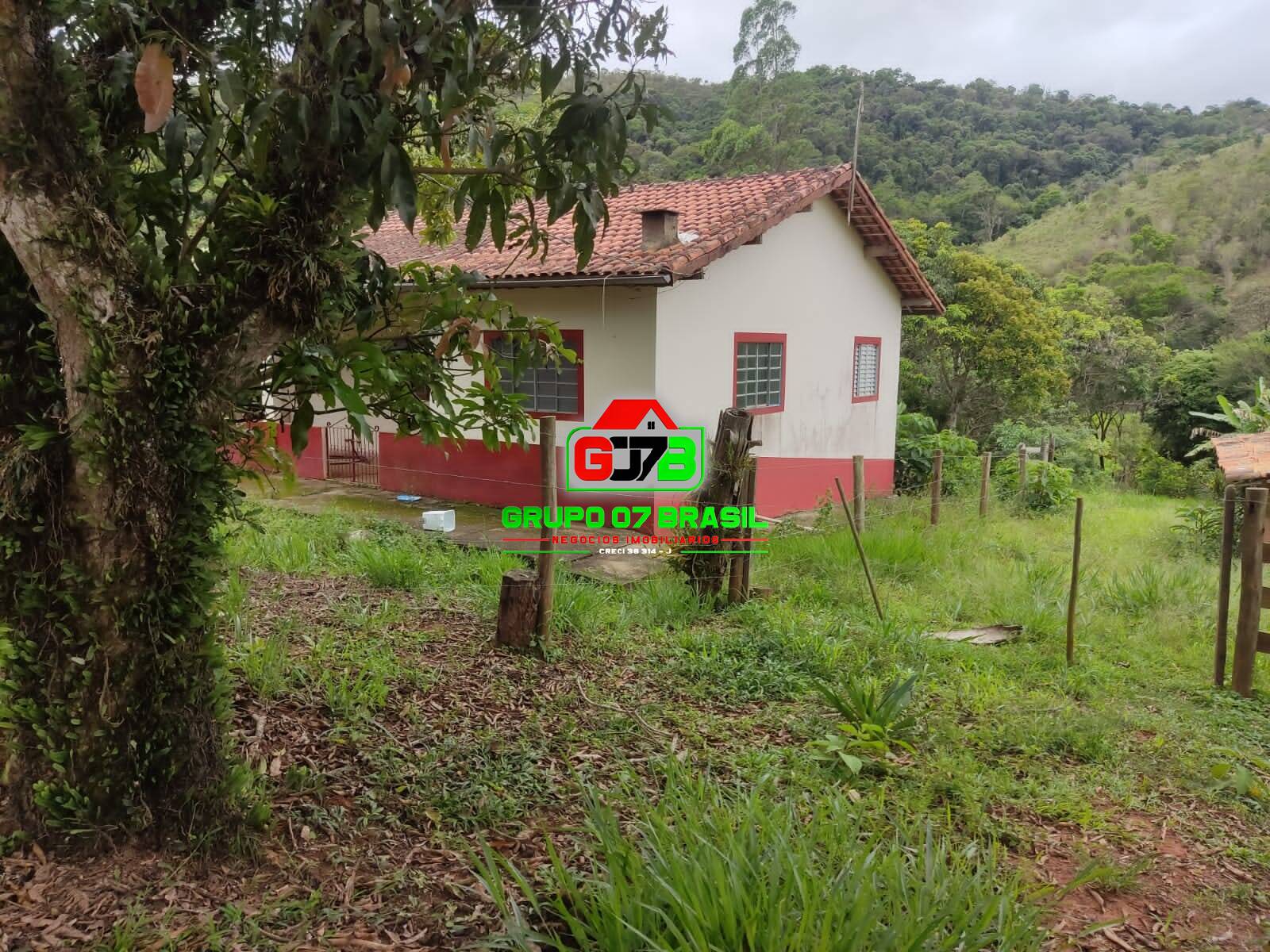 Fazenda à venda com 4 quartos, 2000m² - Foto 23