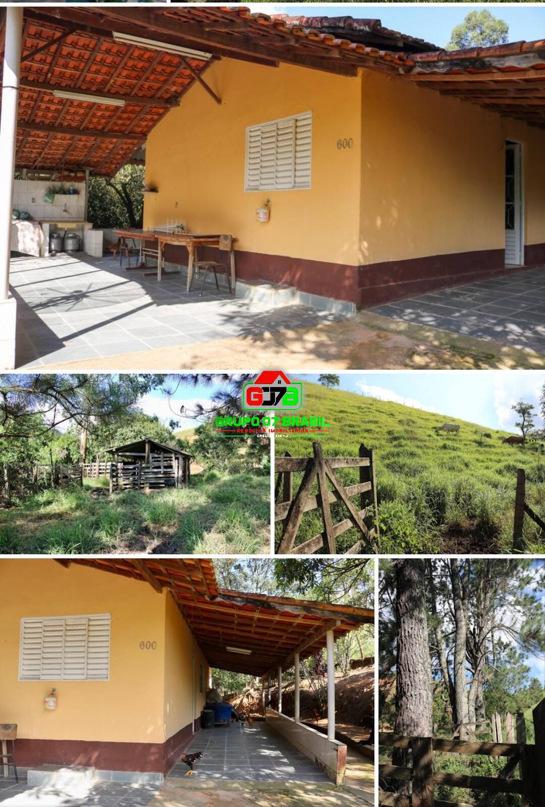 Fazenda à venda com 3 quartos, 20685m² - Foto 2