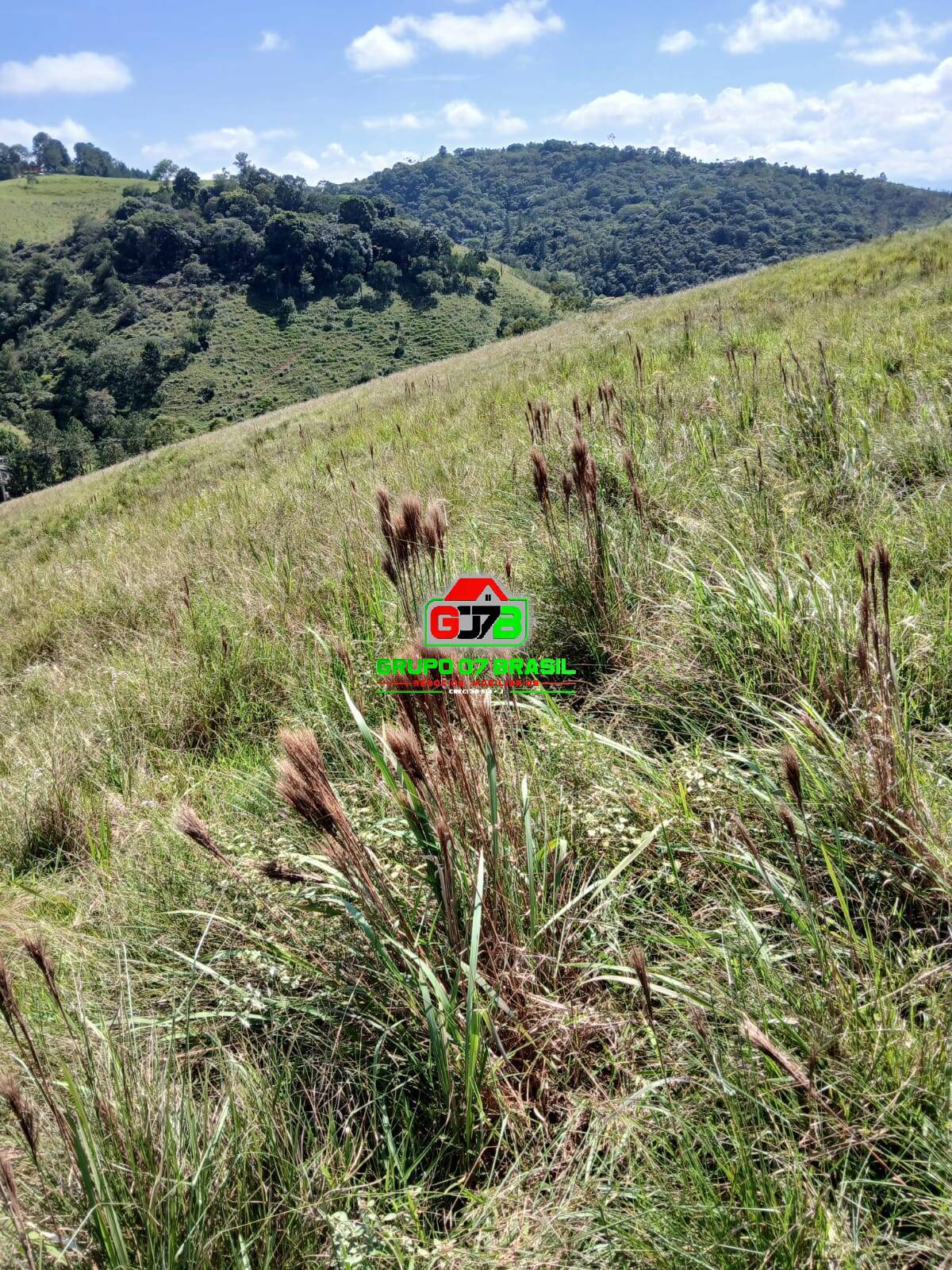 Fazenda à venda, 20000m² - Foto 5