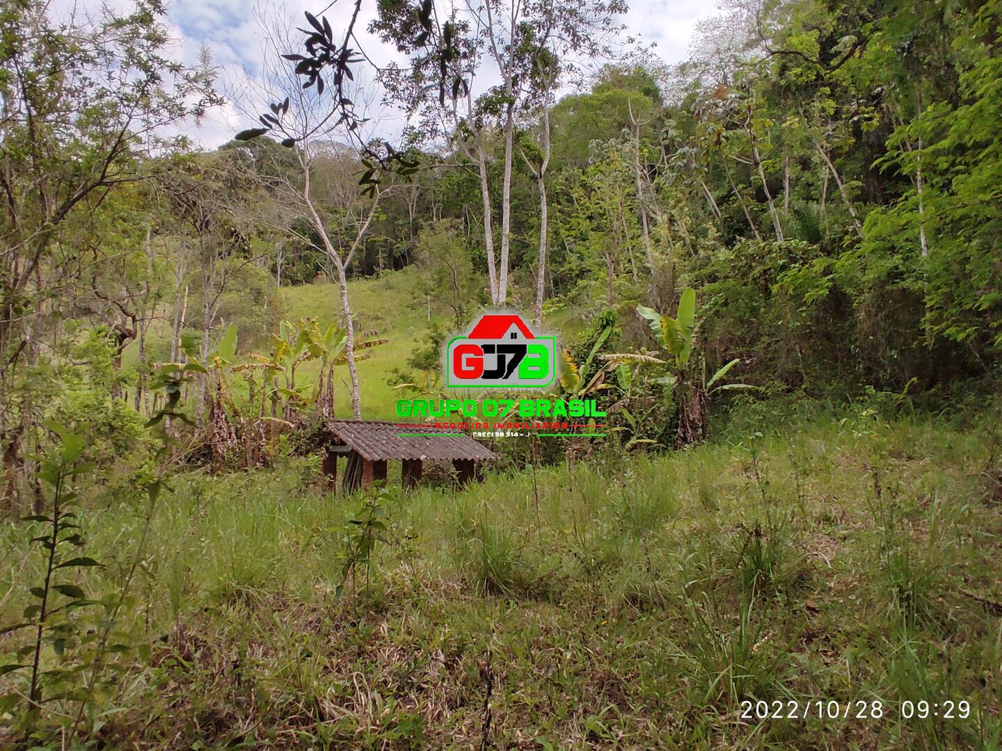 Fazenda à venda, 16000m² - Foto 3