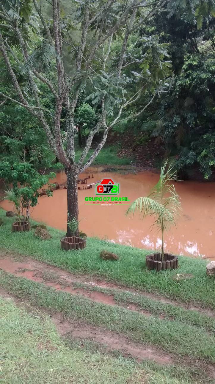 Fazenda à venda com 3 quartos, 40000m² - Foto 7