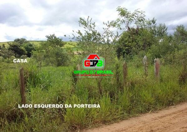 Fazenda à venda com 3 quartos, 10000m² - Foto 5