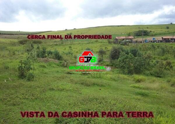 Fazenda à venda com 3 quartos, 10000m² - Foto 19