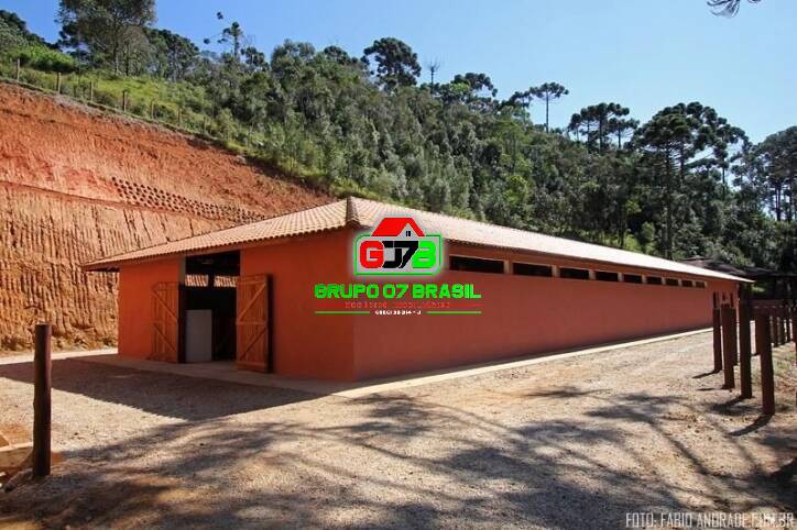 Fazenda à venda com 4 quartos, 871200m² - Foto 3