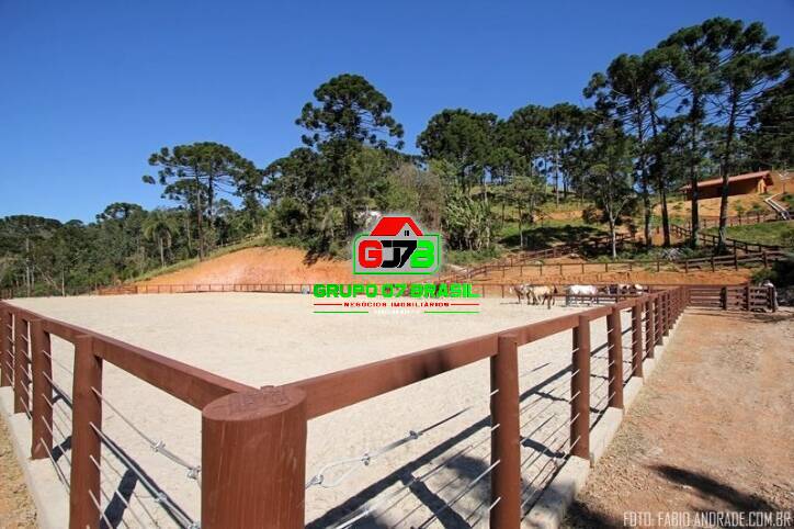 Fazenda à venda com 4 quartos, 871200m² - Foto 5