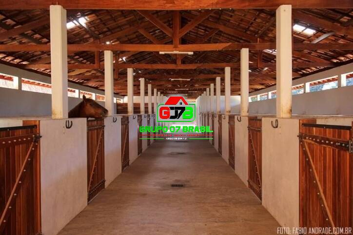 Fazenda à venda com 4 quartos, 871200m² - Foto 8