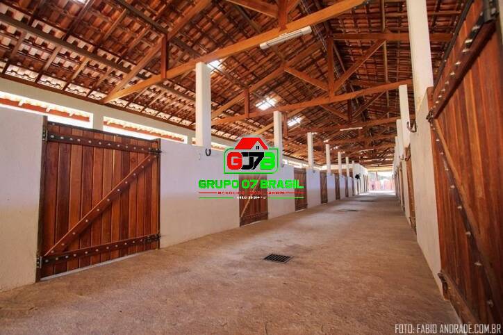 Fazenda à venda com 4 quartos, 871200m² - Foto 12