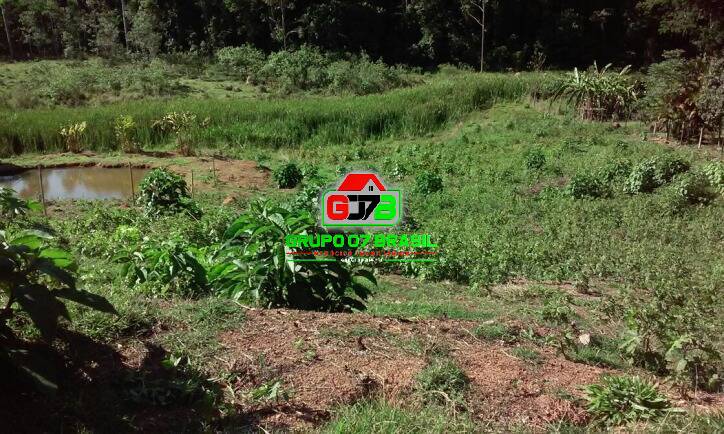 Fazenda à venda com 2 quartos, 30000m² - Foto 15